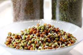 Ravinder Yoga School Mindful Dining Nourishment